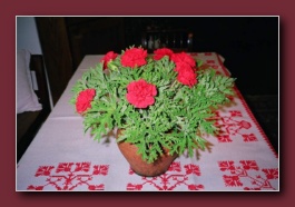 Kliknite za pove�avo slike